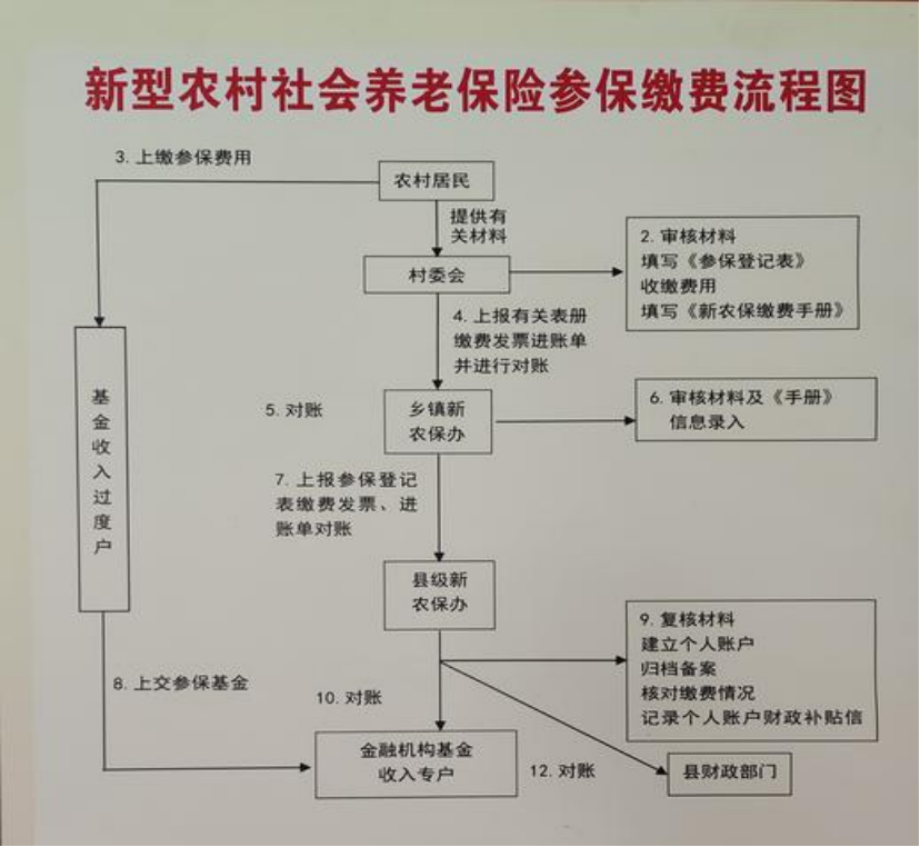 海南农村医保和社保有什么区别(农村医保跟社保的区别)