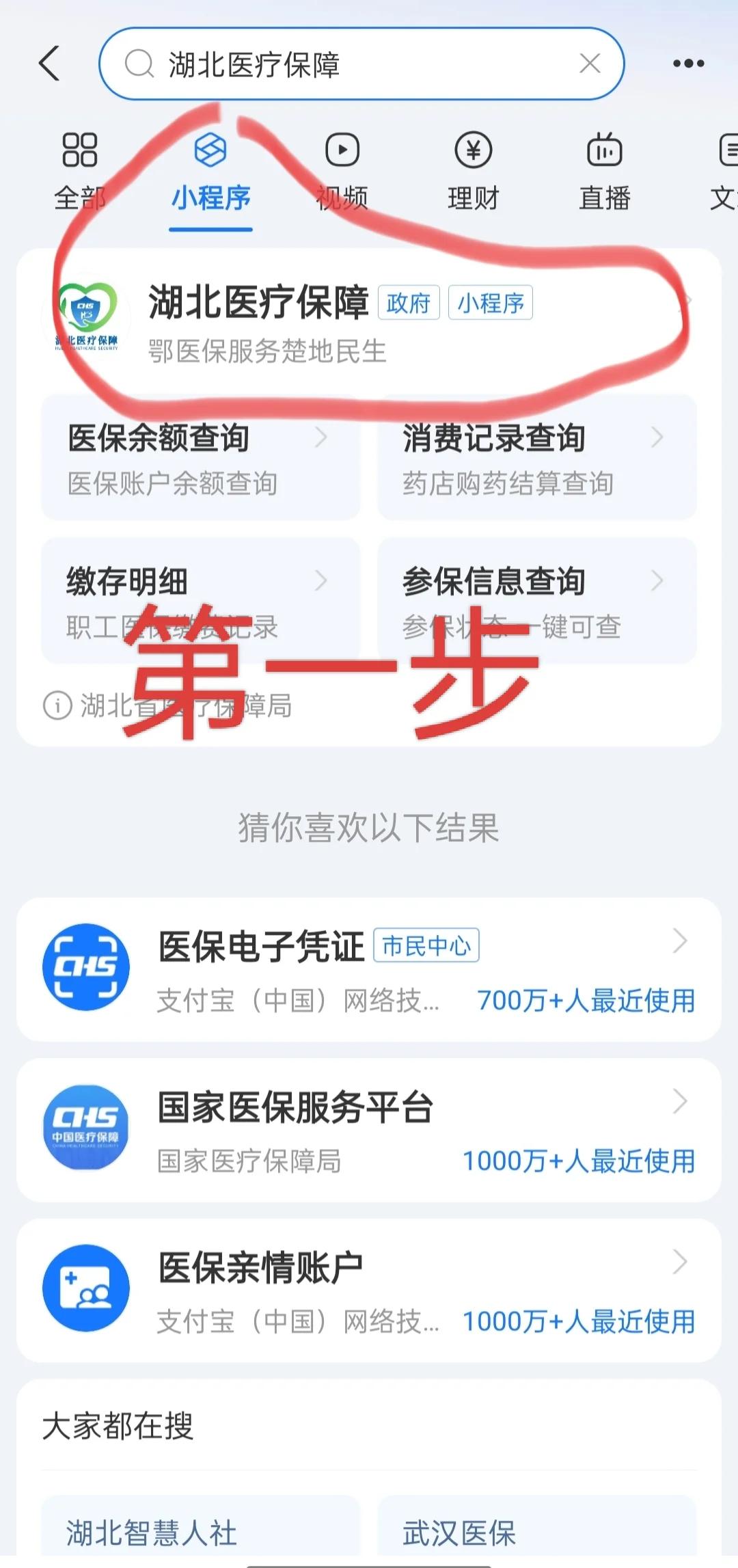 海南医保网上怎么缴费(孩子居民医保网上怎么缴费)
