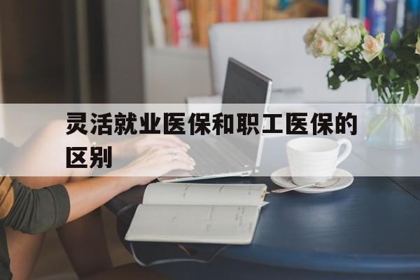 海南灵活就业医保和职工医保的区别(天津灵活就业医保和职工医保的区别)